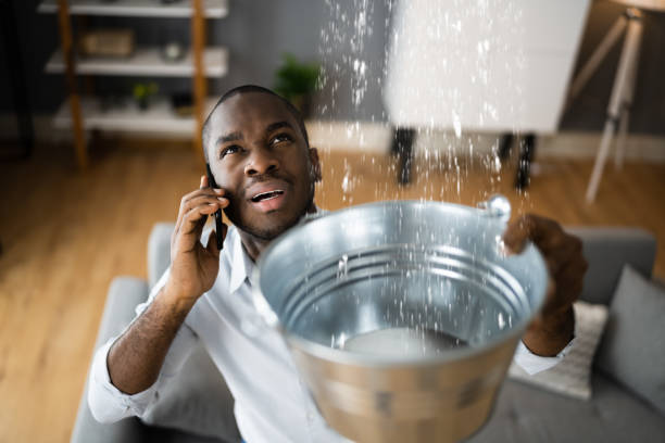 Best Water damage contractors near me  in Crow Agency, MT