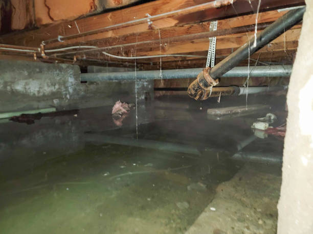 Best Water damage restoration near me  in Crow Agency, MT