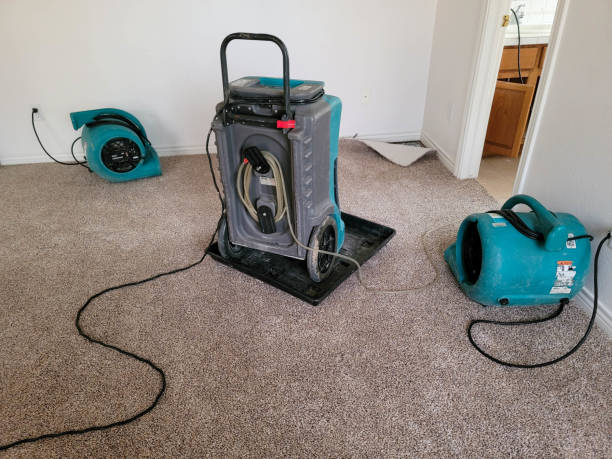 Best Water damage restoration company  in Crow Agency, MT