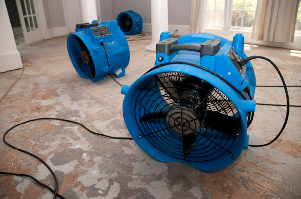 Best Flood damage cleanup  in Crow Agency, MT